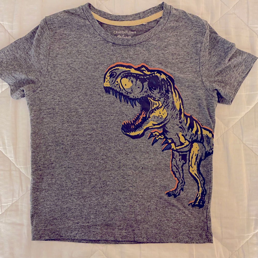IT’S A BUNDLE!!! Hurry and save! Boys T-shirt! 4-5T